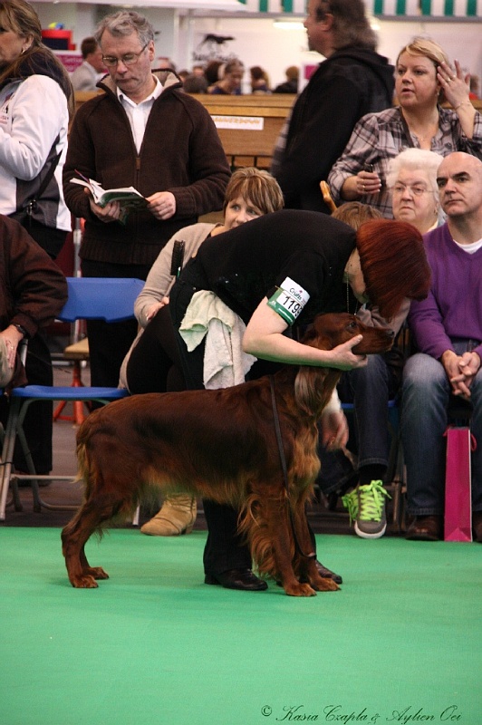 Crufts2011 276.jpg